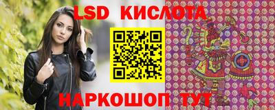 прущие грибы Будённовск