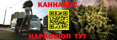прущие грибы Будённовск